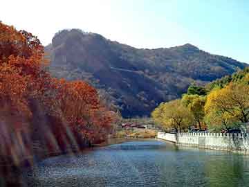 正新澳门二四六天天彩，植澳